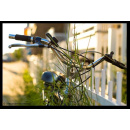 Immagine: Biciclette e mobilità sostenibile, l'Italia verso una svolta?