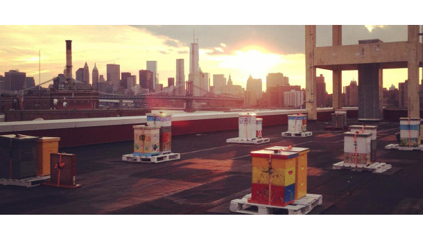 Immagine: Api in città: dopo New York, anche Milano pensa ad ospitare le api sui tetti