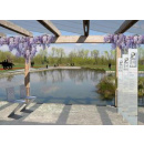 Immagine: Vie d’acqua per Expo, pronto il «piano B»