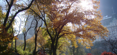 New York, Central Park resterà in ombra a causa dei nuovi grattacieli?