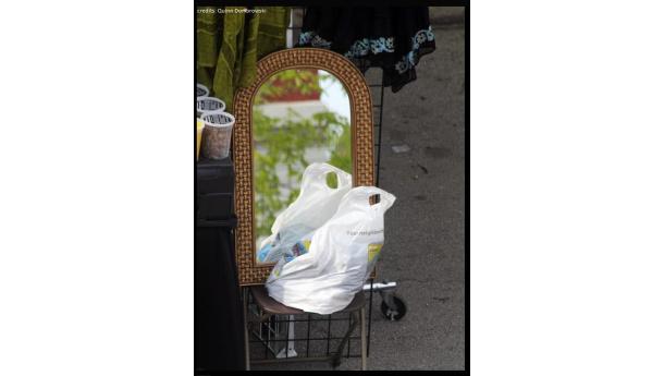 Immagine: Sacchetti, la California torna alla carica per riproporre il bando