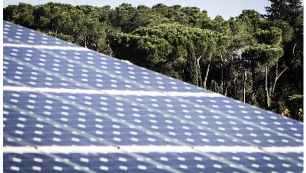 Immagine: Fotovoltaico, Fondazione Tronchetti: in calo il mercato italiano