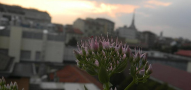 Smog a Torino, troppo ottimismo? Il Presidente della Commissione Ambiente Grimaldi: 