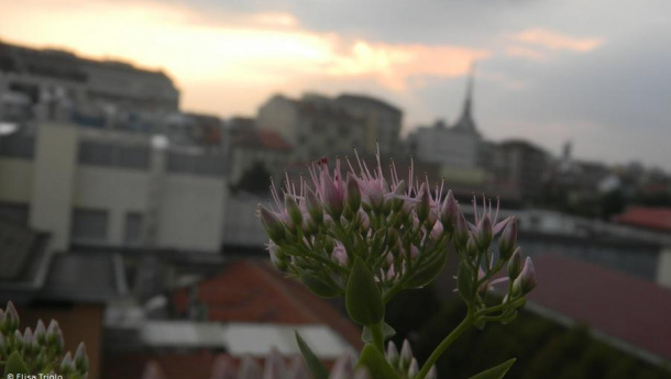 Immagine: Smog a Torino, troppo ottimismo? Il Presidente della Commissione Ambiente Grimaldi: