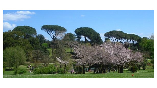 Immagine: Parchi, Legambiente: no alla soppressione di RomaNatura, l'Ente sia il fulcro del rilancio