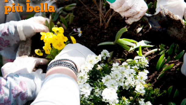 Immagine: “Nontiscordardimé” da sabato 15 marzo operazione decoro per le scuole italiane