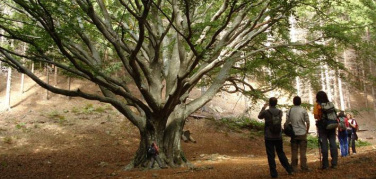 IT.A.CÀ, viaggiare secondo natura. Torna il festival del turismo sostenibile