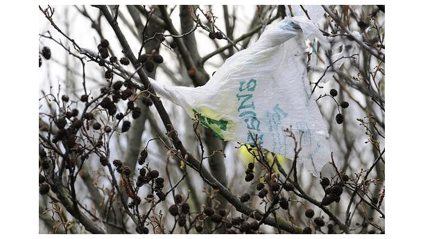 Immagine: Kyoto Club a Renzi: 