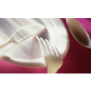 Immagine: Torino, una scuola su tre ha già detto addio alle stoviglie usa e getta