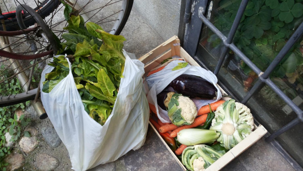 Immagine: Sentinelle dei rifiuti ai fornelli! Mercoledì 26 aperitivo con cibo di recupero