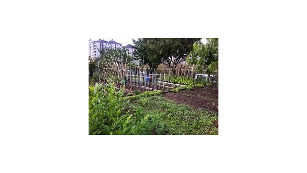 Immagine: Orti urbani, 1384 solo a Milano. La mappa di Coldiretti