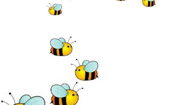 Immagine: Una petizione per fermare lo sterminio delle api