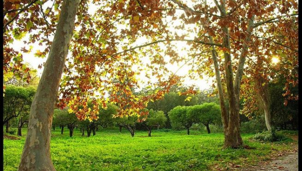 Immagine: Smog a Palermo: parco della Favorita chiuso alle auto nei weekend