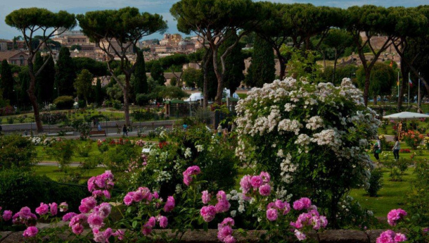 Immagine: Roma, al via la nuova stagione del Roseto