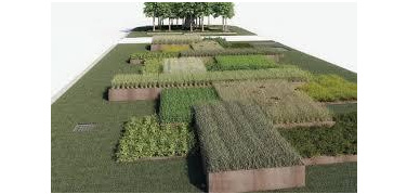 Nuove aiuole e alberi in piazza Duomo: partono i lavori