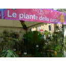 Immagine: COMIECO: ad Orticola facciamo fiorire anche carta e cartone