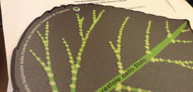 Foreste italiane aumentano e trattengono miliardi di tonnellate di carbonio