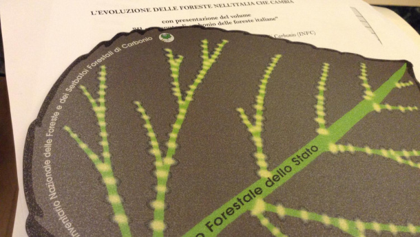 Immagine: Foreste italiane aumentano e trattengono miliardi di tonnellate di carbonio