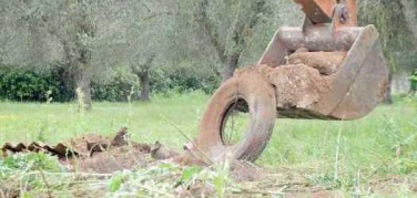 Rifiuti tombati nella Provincia di Foggia. La denuncia di Legambiente approda in Parlamento