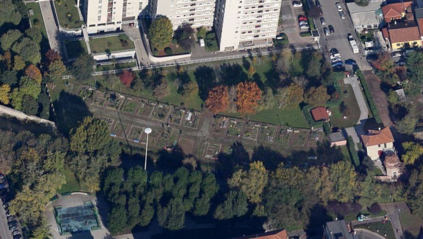 Immagine: Zona 2, la parola agli ortisti di via Alghero 15 / VIDEO