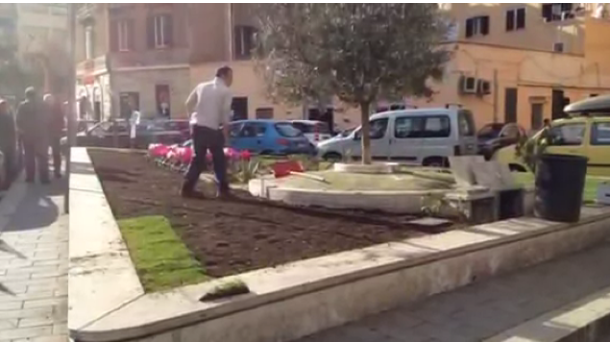 Immagine: Il letamaio che diventò giardino: il video che racconta l'aiuola della Marranella