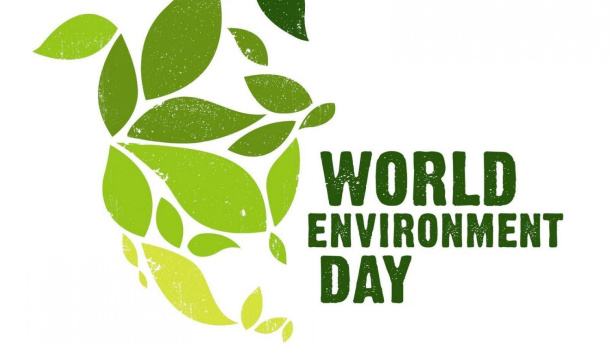 Immagine: Giornata Mondiale dell'Ambiente: consigli per la spesa