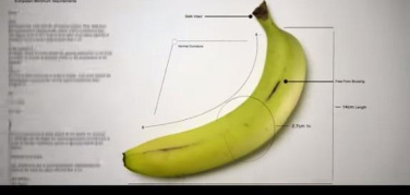 Le recensioni di Cinemambiente: Just Eat It