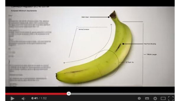 Immagine: Le recensioni di Cinemambiente: Just Eat It