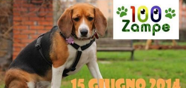 Il 15 giugno 100zampe a Centocelle per pulire il parco Filippo Teoli