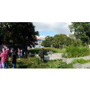 Immagine: L’orto universitario del Politecnico, un'“azione di socialità”