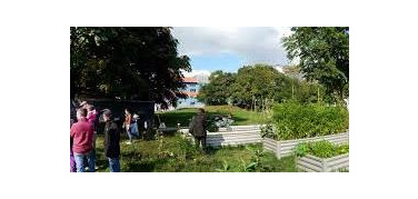 L’orto universitario del Politecnico, un'“azione di socialità”