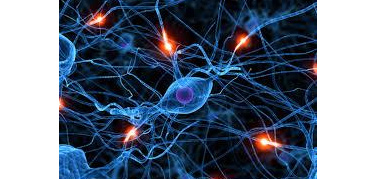 Smog, l'inquinamento dell'aria accelera il declino cognitivo negli anziani