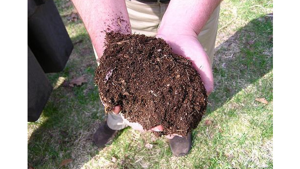 Immagine: La Puglia finanzia il compostaggio di comunità. Nicastro: