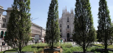 “La Natura entra in città” inaugurato il nuovo verde di Piazza del Duomo