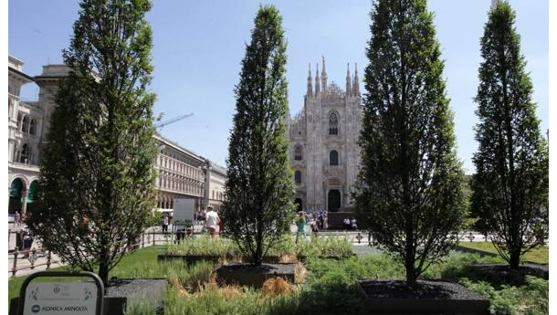 Immagine: “La Natura entra in città” inaugurato il nuovo verde di Piazza del Duomo
