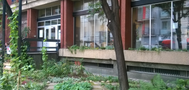 Torino si fa bella con i volontari di Torino Spazio Pubblico