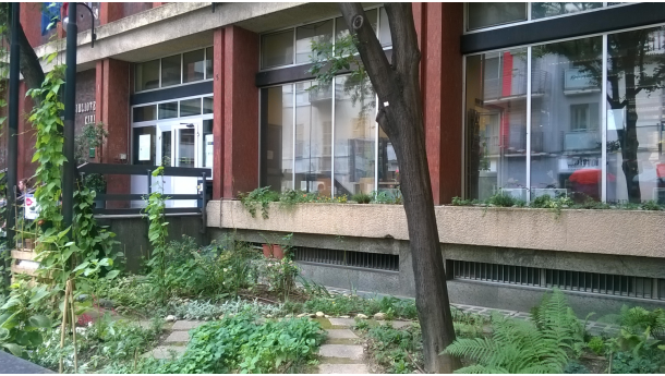 Immagine: Torino si fa bella con i volontari di Torino Spazio Pubblico