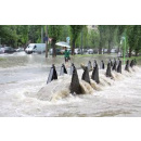 Immagine: Seveso, l’allarme degli ingegneri