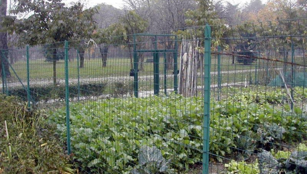 Immagine: “Gli orti di Expo”, un’iniziativa per la sostenibilità alimentare e il rispetto dell’ambiente