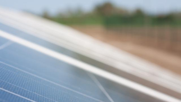 Immagine: Spalma incentivi, (anche) per il WWF deve essere cambiato