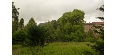 Giardini Reali, giovedì 31 luglio riapertura congiunta di occupanti e Soprintendenza