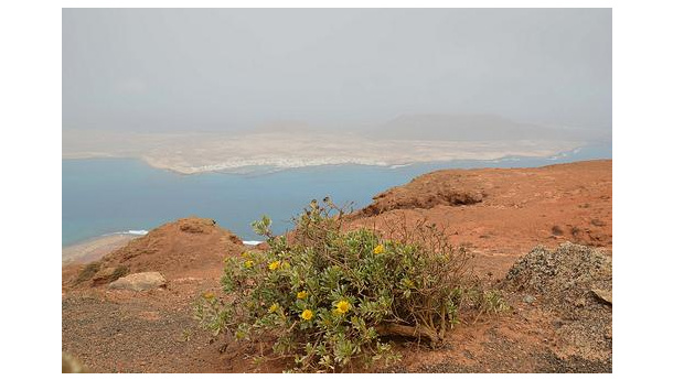 Immagine: Canarie: in centomila in piazza per dire no alle trivelle