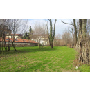 Immagine: Intervista a Fabrizio Delfini, Vicepresidente dell'Associazione Comitato Ponti-Giardino Nascosto