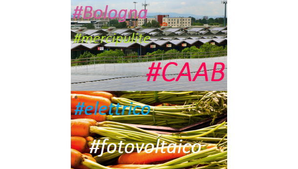 Immagine: Bologna, trasporto merci elettrico: esperimento al mercato delle Erbe