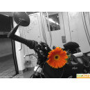 Immagine: Atac, il trasporto pubblico romano diventa “Bike friendly”