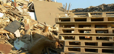 Un mare di legno! La sostenibilità costeggia la riviera con Rilegno