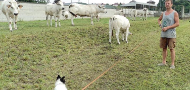 Il campeggio per l’Expo sui pascoli di via Servais. Coldiretti: “Questa è la nostra campagna”