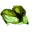 Immagine: Sacchetti, multe in vigore dal 21 agosto. Assobioplastiche: 