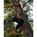 Immagine: Michele Forzinetti, l'Amministrazione comunale di Varese ha rinviato l'abbattimento dei 16 cipressi