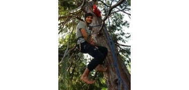 Michele Forzinetti, l'Amministrazione comunale di Varese ha rinviato l'abbattimento dei 16 cipressi